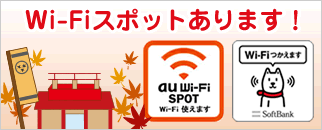Wi-Fi使えます。